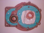 Replacement for 79455, Gasket Set for Model 321